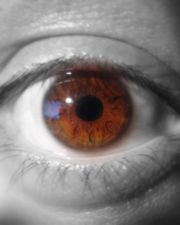 Brown human iris.  The color was dropped from the image outside of the iris.