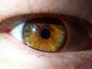 A hazel eye.