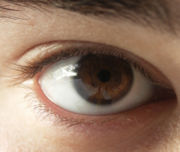 Dark brown human iris.