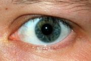 A blue-green human eye.