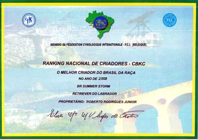 criador-08