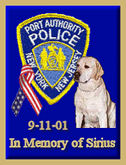 Sirius Memorial Banner